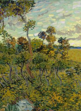 现货包邮 法国Grafika进口名画拼图00868 蒙马约的日落1000片梵高