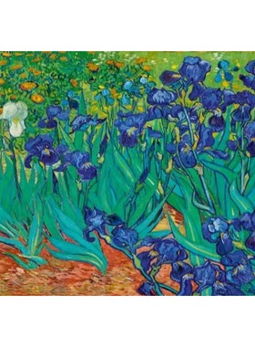 包邮 法国Bluebird蓝鸟进口益智名画拼图60006鸢尾花1000片梵高