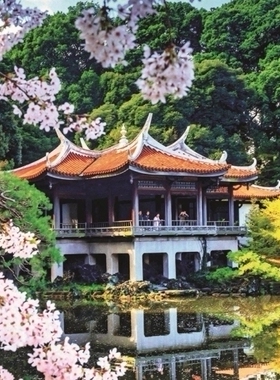 现货包邮 JUMBO荷兰进口成人益智拼图18361 日本 湖畔鲜花1000片