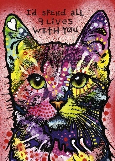 HEYE 德国 女生礼物进口成人益智拼图玩具 29731九命猫1000片方盒