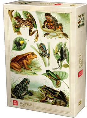 现货 D-Toys罗马尼亚进口成人益智拼图75703EN01复古青蛙1000片