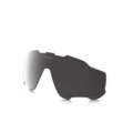 Replacement Lens - Prizm Black 12