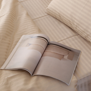 【特价】出口英国~外贸订单100纯棉贡缎80s埃及棉缎条被套200*230