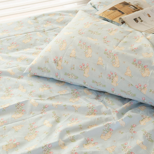 可爱纯棉床单单件少女单双人被套