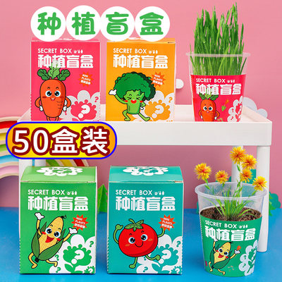 小学生奖品创意种植小礼品