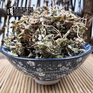 中药材 紫花地丁 500克 犁头草紫 柴花苦地丁 紫地丁 碎