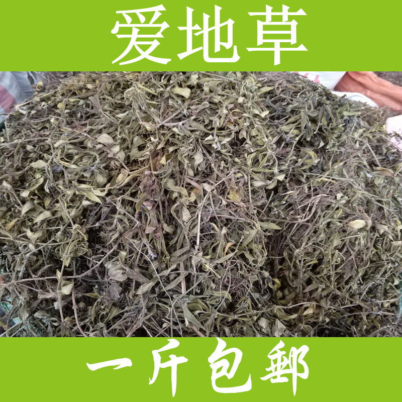 中药材  爱地草  500g克  边耳草  出山虎  统