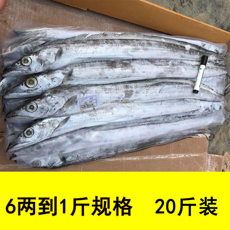 批 发整箱东海20斤 野生带鱼新鲜冷冻大号部分包邮净重300/500