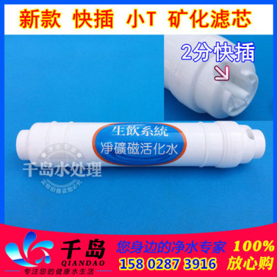 千岛哥T价免邮】新款 快插 通用小T33 矿化滤芯 2分快插 后置2442