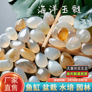 天然白海洋玉髓原石曼扎雨花石鹅卵石花盆水培鱼缸装饰花瓶小石头