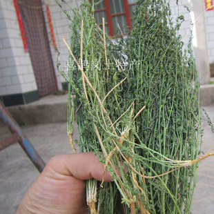 野生百蕊草麦黄草整棵干货2025年新晒太行山百乳草地石榴细须草