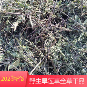 野生旱莲草干品整棵墨旱莲农家生晒中药材500g另有女贞子
