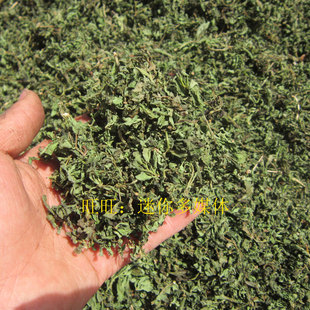 枸杞芽枸杞嫩叶野生干枸杞芽尖茶头茬新鲜食用枸杞子嫩叶子50g