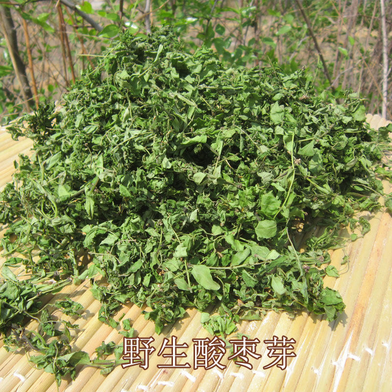 野生酸枣芽茶酸枣叶茶野山枣嫩芽叶晒干酸枣仁叶新茶100g包邮
