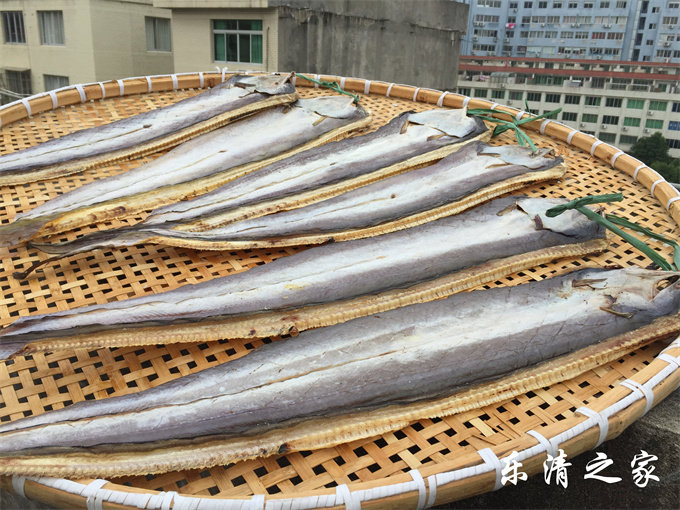 【大鳗鱼鲞】温州送礼大鳗鱼干鳗鲞鲜香 500克左右 乐清之家 柳市