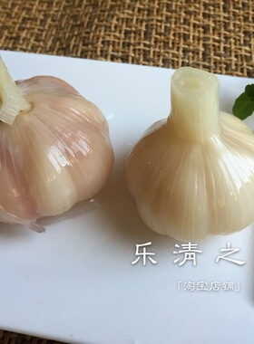 【腌大蒜】温州乐清糖醋甜蒜头农家菜腌葱头 500克 乐清之家 柳市
