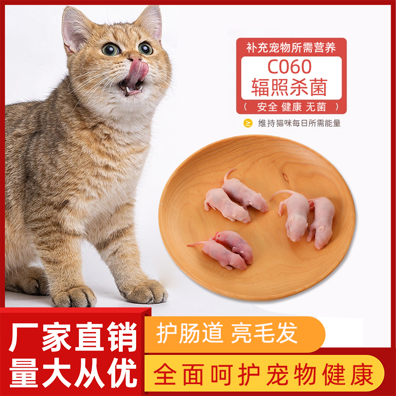 包邮无菌冷冻小白鼠宠物饲料活体猫高蛋白爬宠饲料冻乳鼠红皮白霜