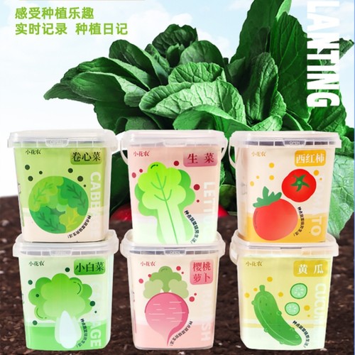 包发芽儿童种植套装种子发芽观察