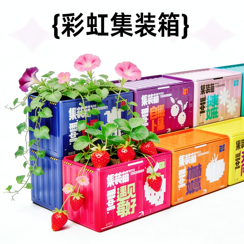 小花农迷你儿童种植小盆栽大号彩色幼儿园小朋友种花种菜自种套装