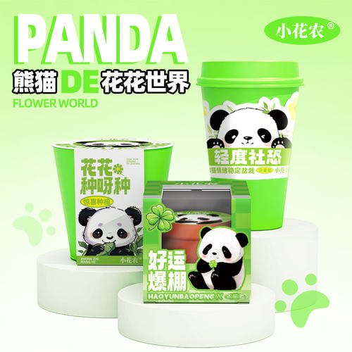 100%发芽熊猫系列儿童盆栽