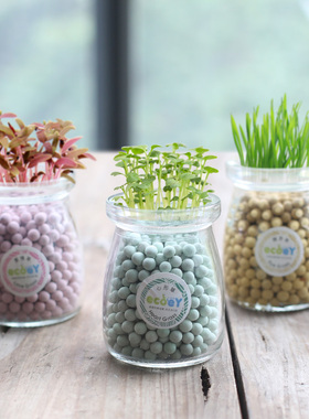 办公室种草长草儿童小盆栽桌面迷你草头娃娃水培绿植物幸运草种子