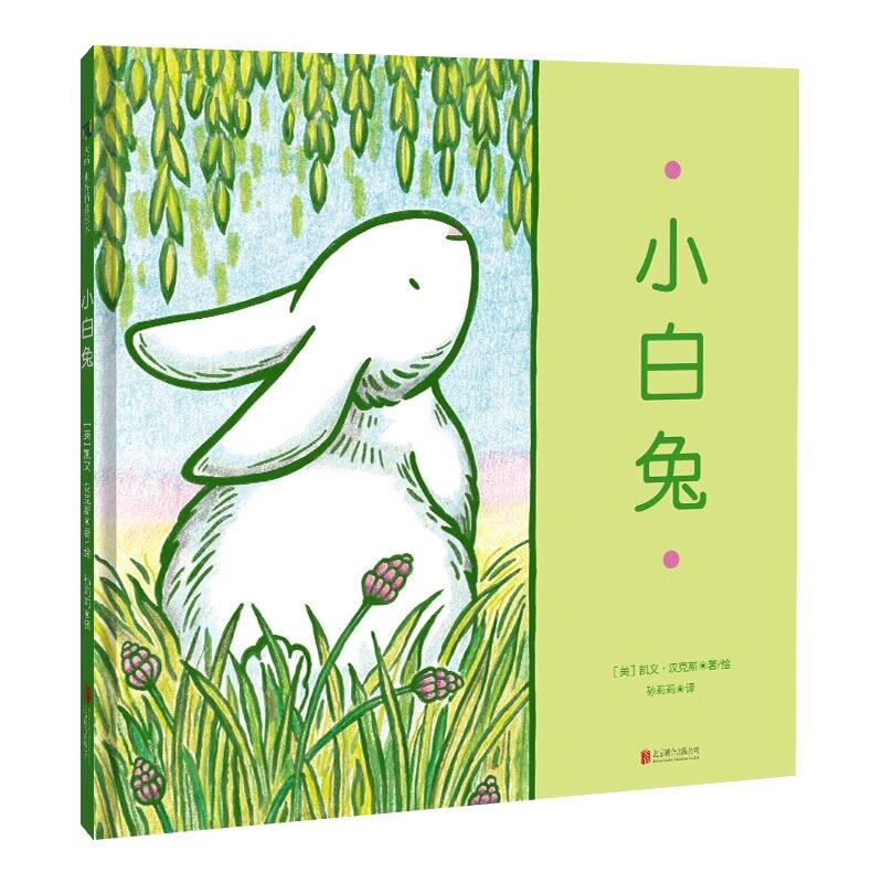 小白兔（凯文·汉克斯作品）图片
