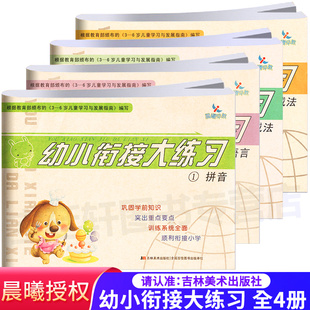 幼小衔接大练习全4册 20以内加减法晨曦早教一日一练运算解决问题幼儿园入学准备练习册大班升一年级书籍 学前测试语言拼音10以内