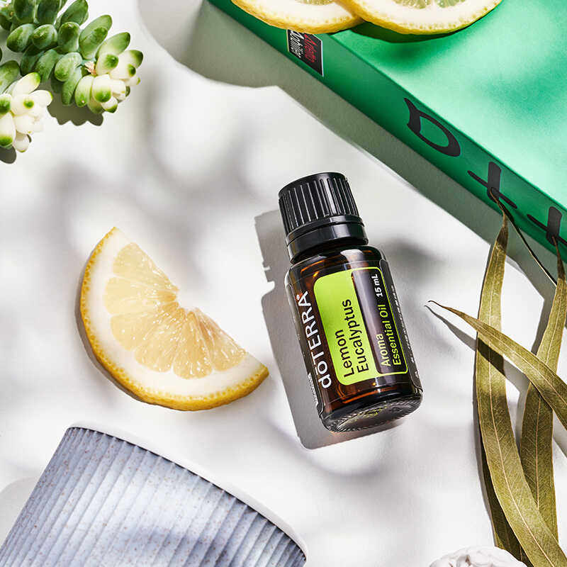 多特瑞柠檬尤加利 lemon eucalyptus