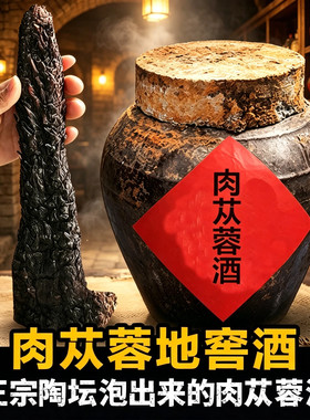 封坛肉苁蓉地窖酒40度纯粮泡酒