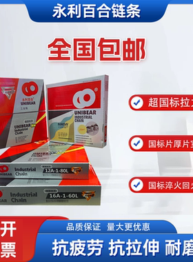 永利百合UNIBEAR合金钢传动链条3分06B 4分08A 5分10A 6分12A