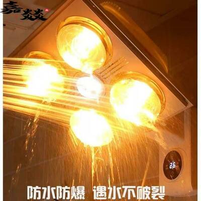 适用四季沐歌tcl浴霸取暖led灯泡爆275w老式照明中间小灯泡