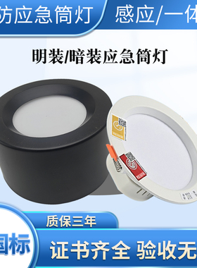 应急筒灯led消防嵌入式吸顶明装应急灯342.5寸停电照明一体化射灯