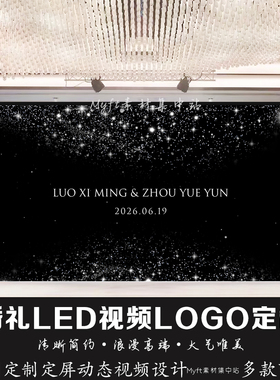 小红书婚礼黑色粒子星空背景定制LED大屏幕动态LOGO设计视频制作