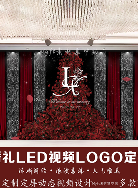 红色玫瑰花水晶星空婚礼LED视频LOGO定制来图定制动态视频设计