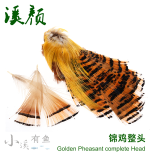 现货 锦鸡羽毛整头飞钓毛钩制作材料干式湿蝇古典毛钩绑制材料