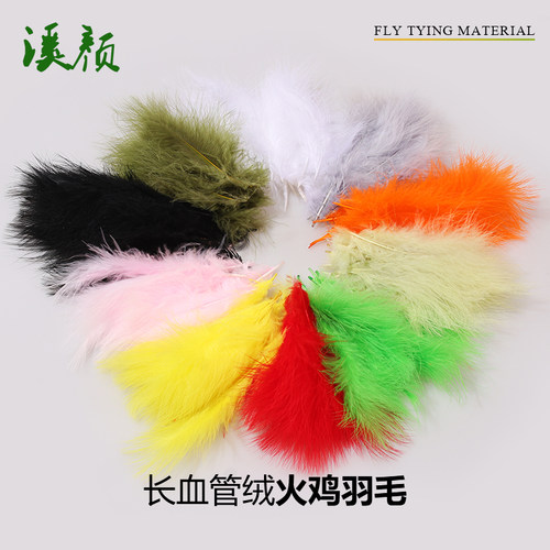 血管长血管绒火鸡羽毛溪颜