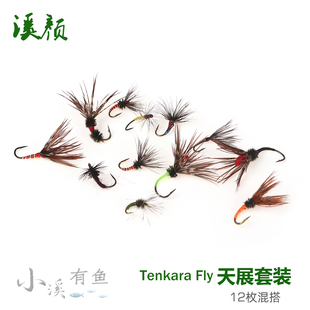 天展飞蝇钩套装飞钓干式飞蝇钩路亚鳟鱼马口溪哥茴鱼赤眼鳟军鱼钩