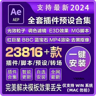 Ae全套插件合集中文一键安装包调色粒子e3d效果特效软件素材2024