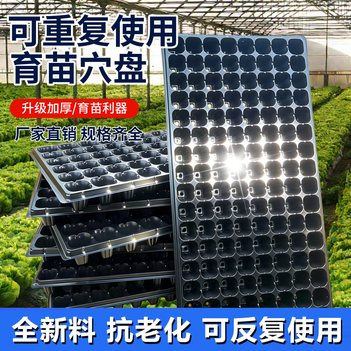 育苗盘育苗神器多孔穴盘蔬果苗育种扦插PET全新料加厚可重复使用