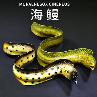 仿真鳗鱼模型儿童玩具海鳗模型鳝鱼电鳗实心摆件泥鳅儿童认知
