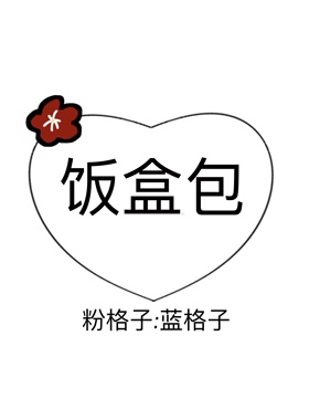 （BottleBunny）甜蜜再恋Vintage粉格子饭盒包腋下斜挎手提包