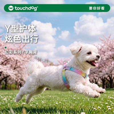 幻彩系列牵引绳胸背好看亮眼