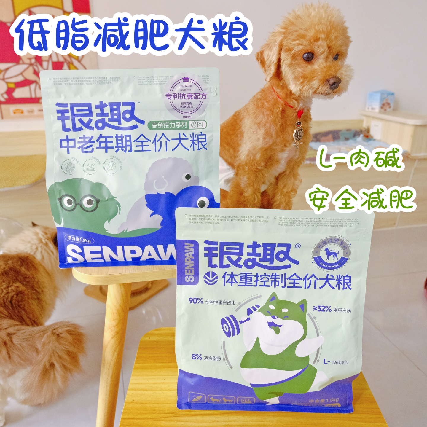 银趣低脂减肥狗粮控体重