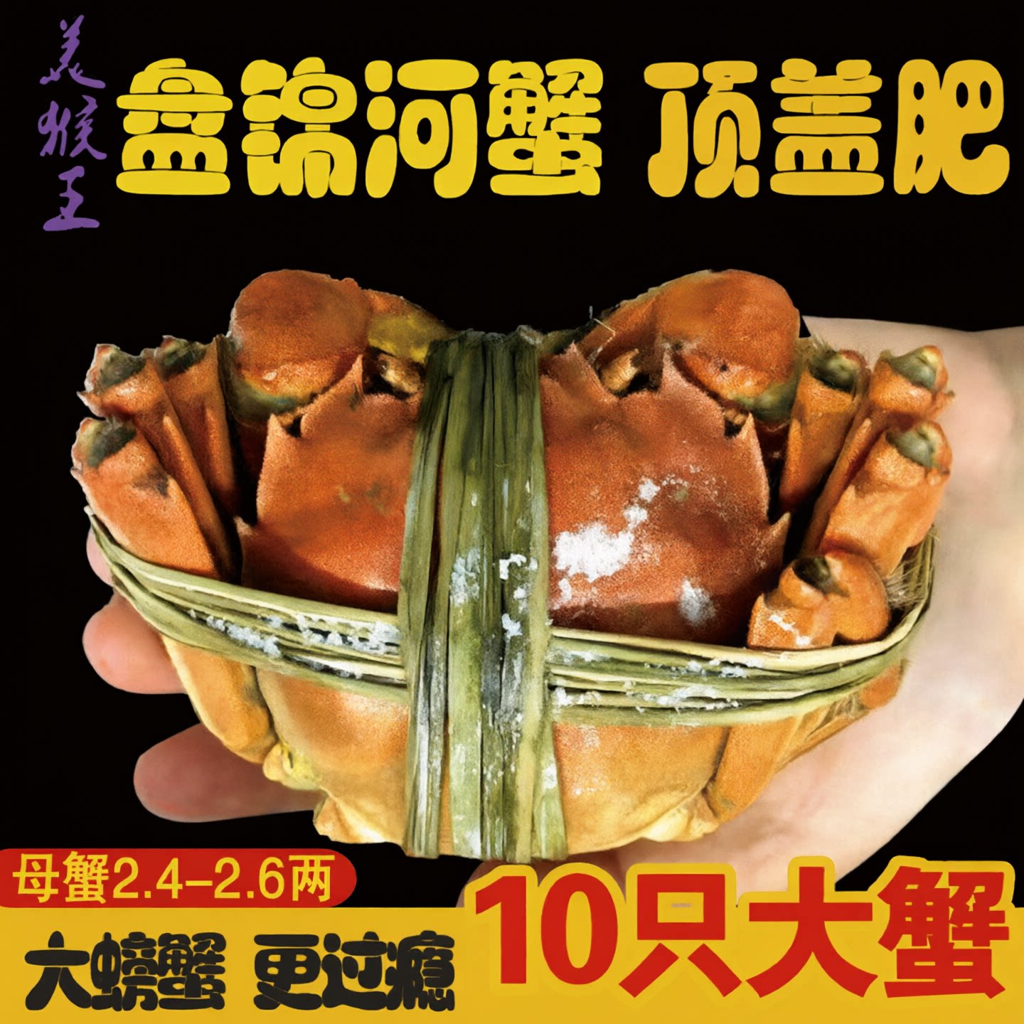【特大款】盘锦河蟹10只全母2.4-2.6两鲜活稻田活蟹螃蟹礼盒装