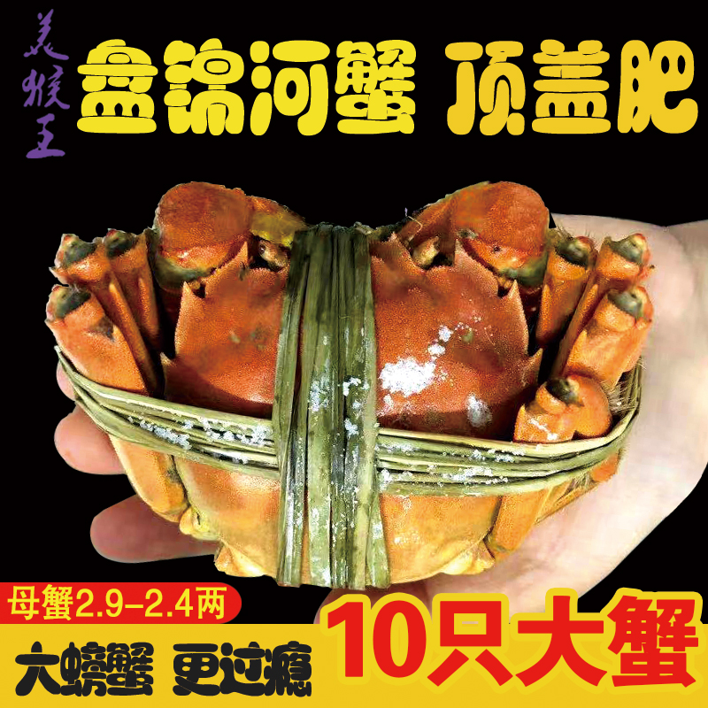 【最大款】盘锦河蟹10只母2.5-2.9两鲜活稻田螃蟹礼盒装