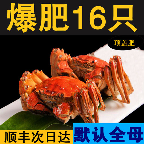 盘锦稻田蟹16只礼盒装顺丰次日达