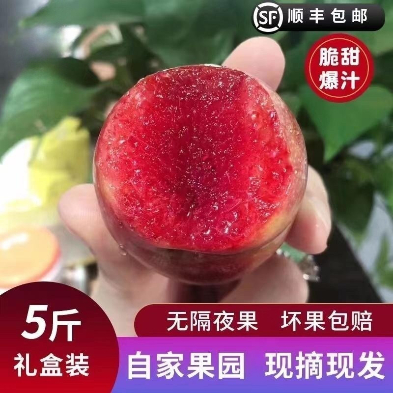 包邮五斤装正宗嵊州桃形李时令树上熟孕妇可食用新鲜水果现摘现发