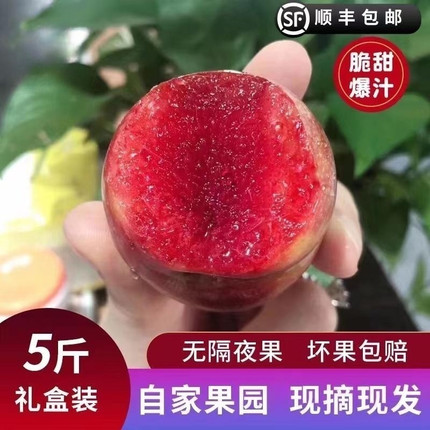 包邮五斤装正宗嵊州桃形李时令树上熟孕妇可食用新鲜水果现摘现发
