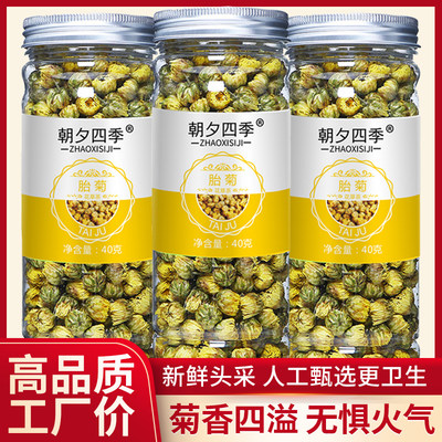 菊花茶桐乡罐装杭火白干热搭解