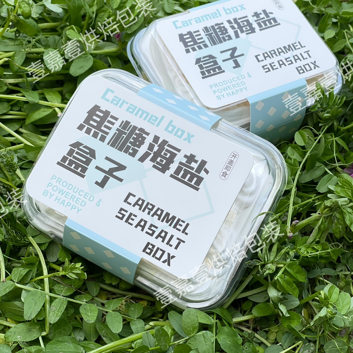 网红拿破仑焦糖海盐提拉米苏